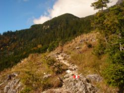 2013-10-08_Guffert (031).JPG